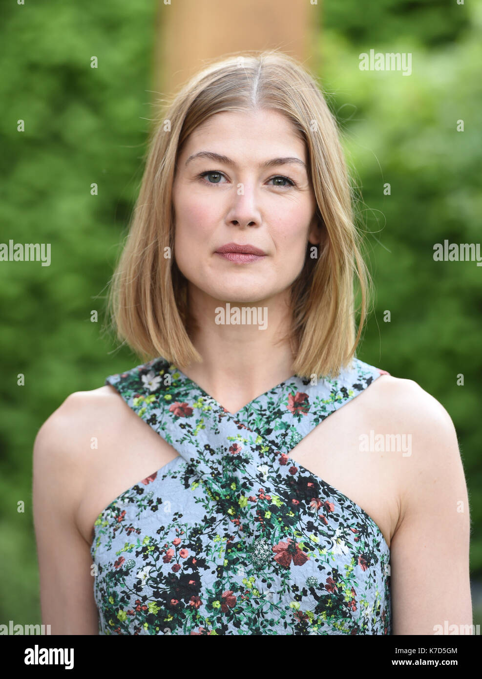 Foto muss Gutgeschrieben © Alpha Presse 079965 23/05/2016 Rosamund Pike am Morgan Stanley Garten für Great Ormond Street Hospital an der Rhododendron Gesellschaft stehe an der RHS Chelsea Flower Show 2016 Royal Hospital, Chelsea, London statt. Stockfoto