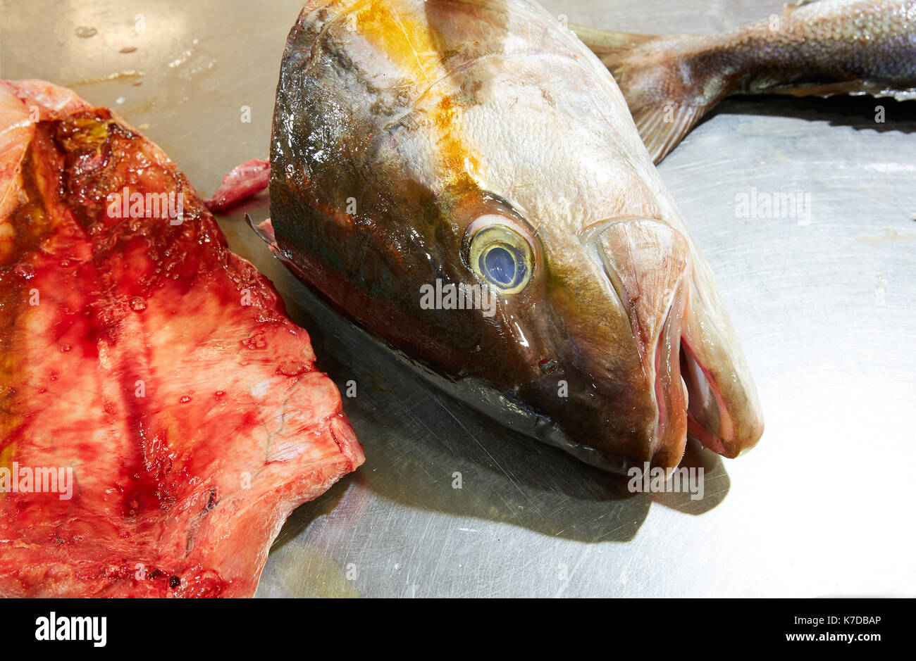Bernsteinmakrele Fish Head filet Prozess in Edelstahl Küche Stockfoto