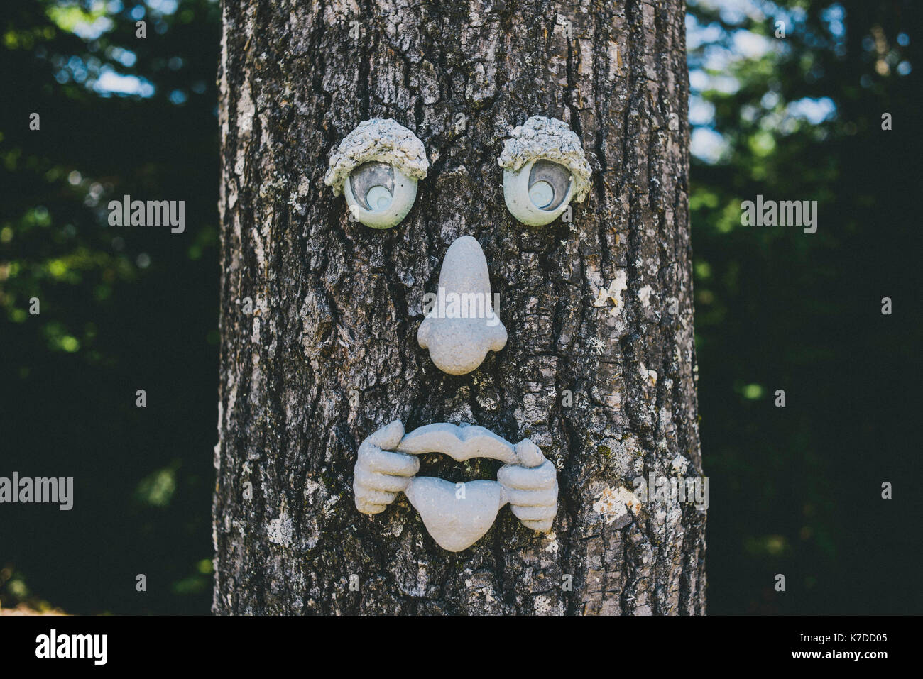 Anthropomorphen Gesicht auf Baumstamm Stockfoto