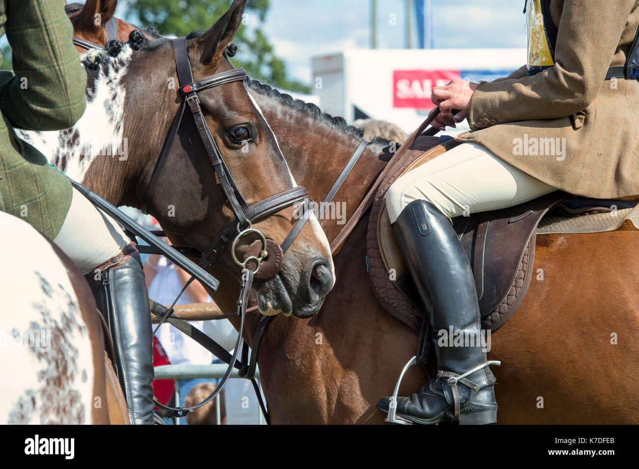 Pferde und Reiter auf Moreton in Marsh Land zeigen, Cotswolds, Gloucestershire, VEREINIGTES KÖNIGREICH Stockfoto