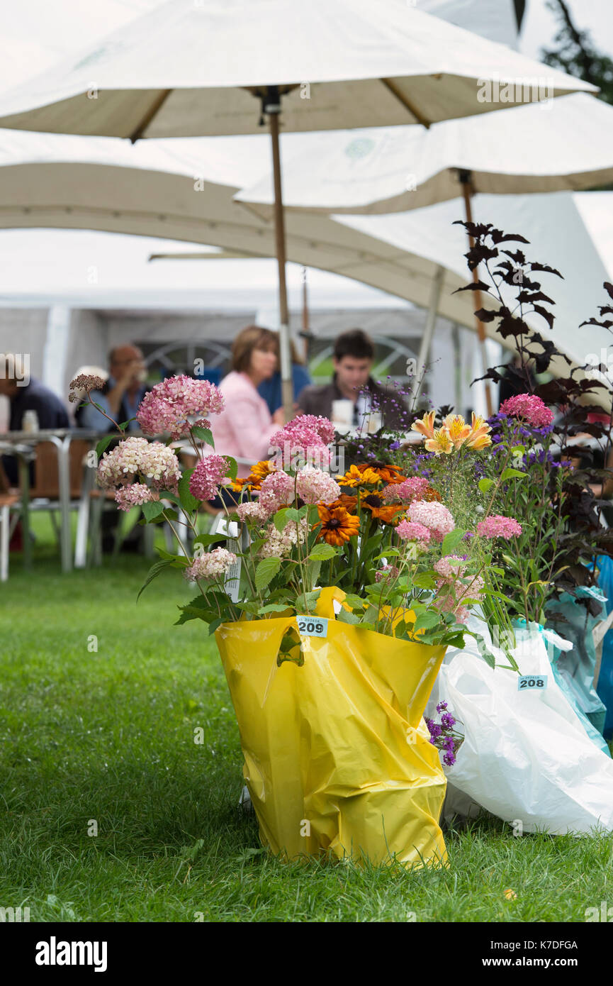 Kaufte Blumen in Plastiktüten, die darauf warten, am RHS Wisley Blumenschau gesammelt werden. Surrey, England Stockfoto