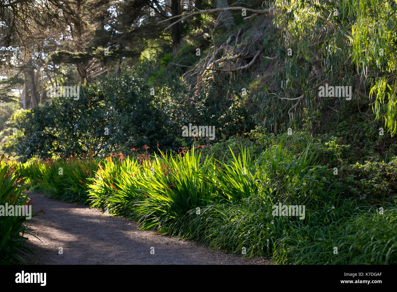 San Francisco Stockfoto