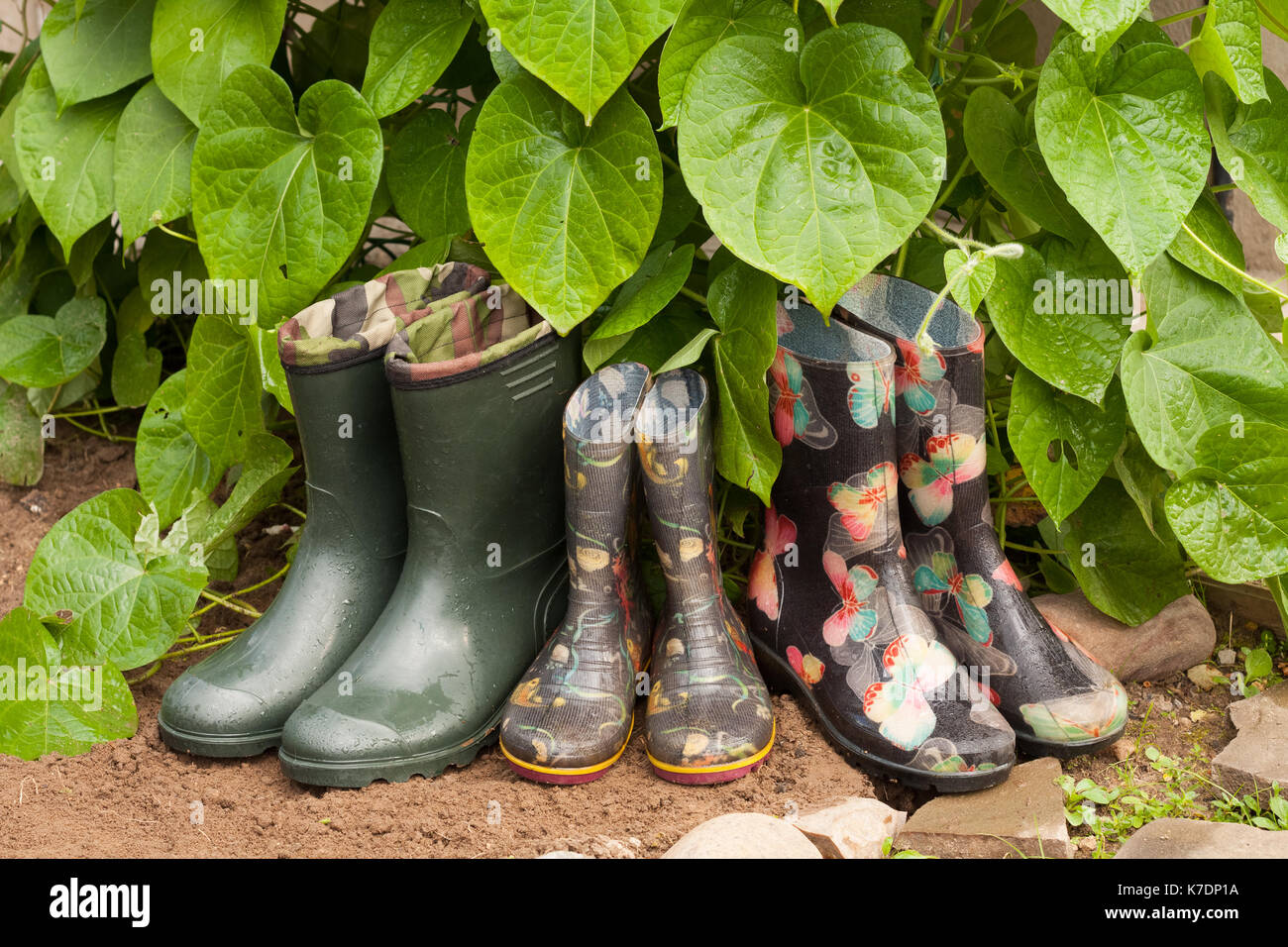 Gummistiefel (Männlich, Kinder, Weiblich) Mit Grünen Blättern In Garden Close Up. Stockfoto