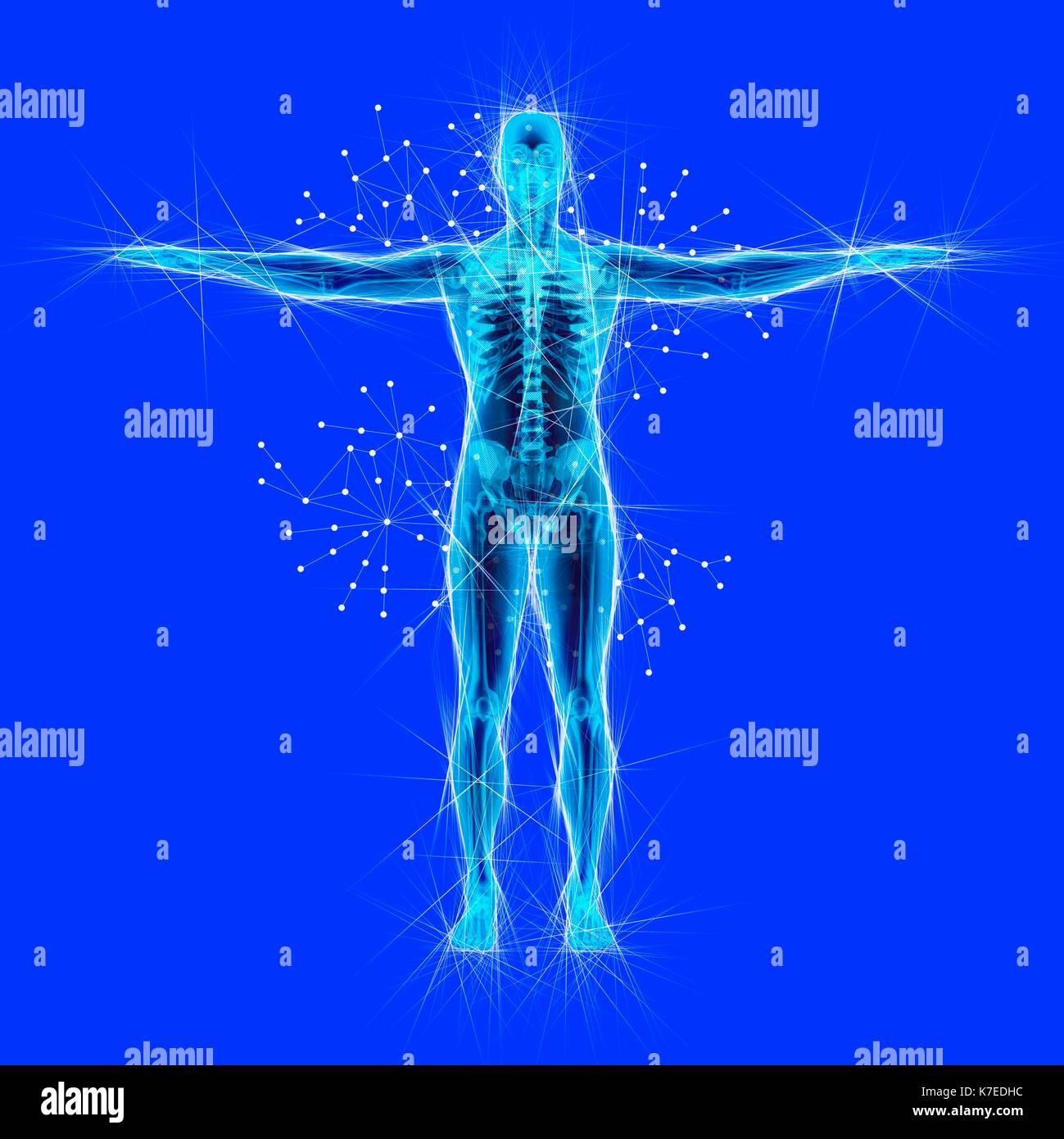 Atomare Struktur des menschlichen Körpers, Illustration. Stockfoto