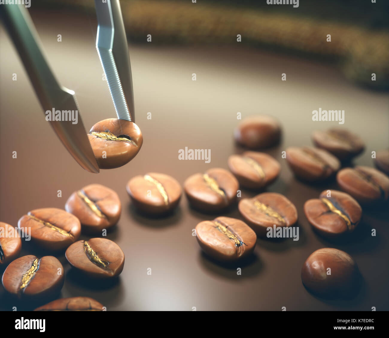 Pinzette Auswahl Coffee Bean, aus der Nähe. Stockfoto