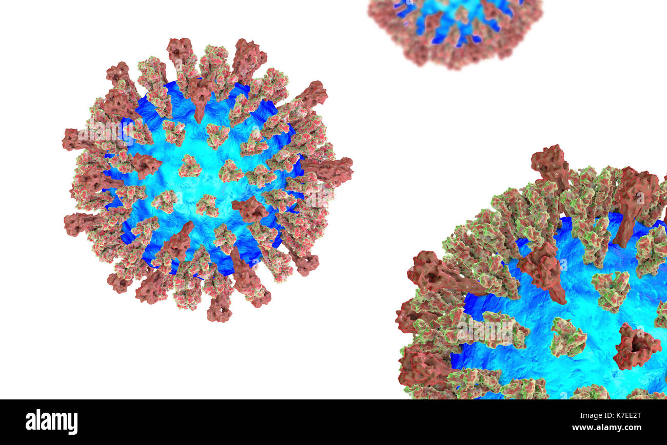 masern virus partikel computer abbildung dieses virus aus der gruppe der viren morbillivirus besteht aus einem rna ribonukleinsaure kern durch einen umschlag mit oberflachenproteine hamagglutinin und neuraminidase und fusion protein die verwendet