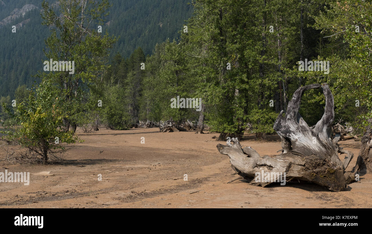 See kaches Washington State Naturpark wüste Bäume Wasser landschaftliche Schönheit Kunst pnw Pazifischen Nordwesten immergrüner Baum shop Berge Felsen blaues Wasser Stockfoto