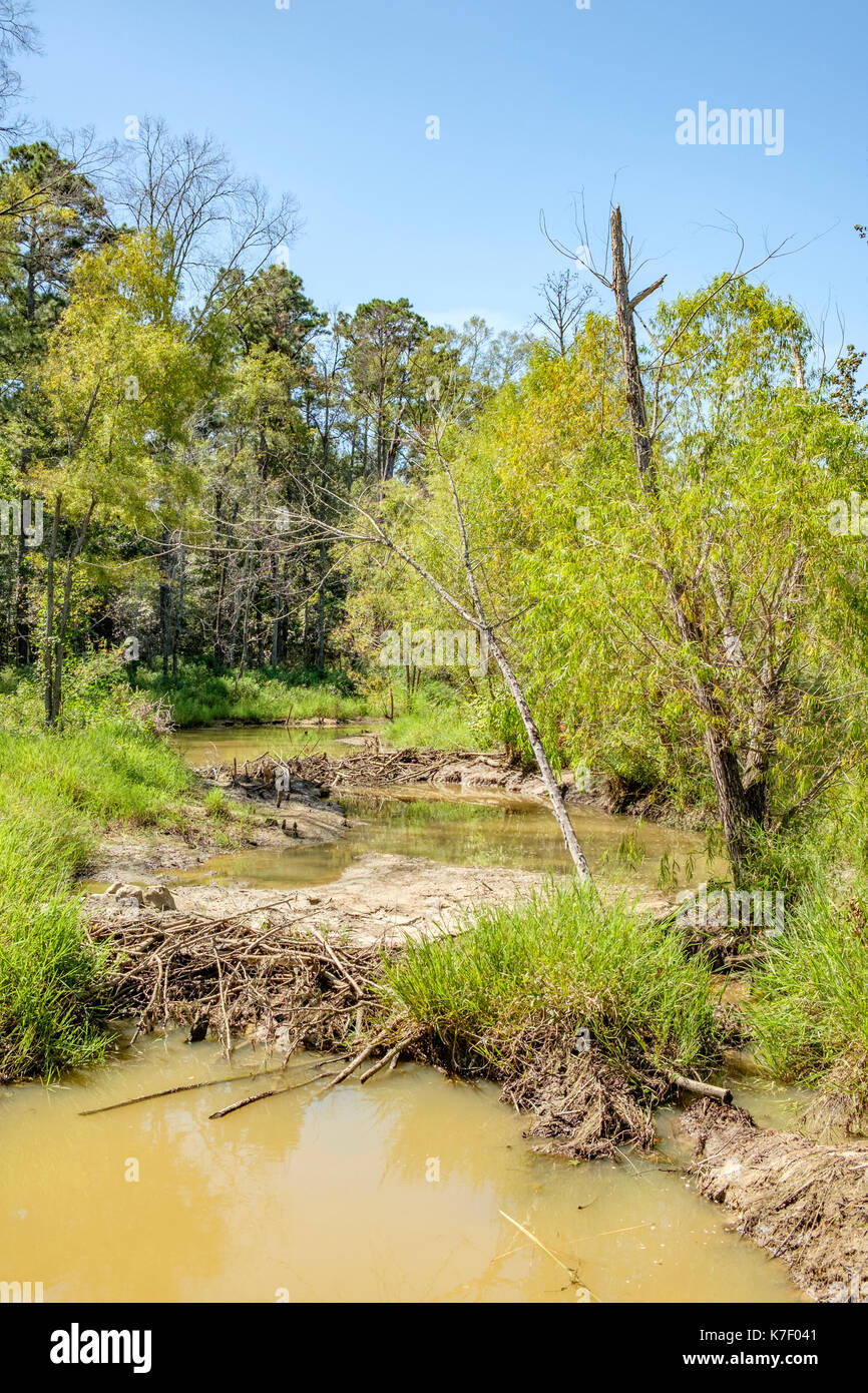 Zwei kleine Biber Dämme auf Milly's Creek in Pike Road, einer wachsenden städtischen Gebiet in ländlichen Alabama, USA. die Dämme von vaughn Straße gesehen werden kann, al 110. Stockfoto