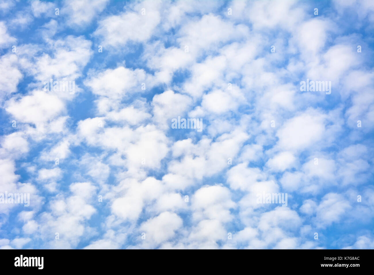 Hintergrund der hohen eisigen Wolken gegen den blauen Himmel. Stockfoto