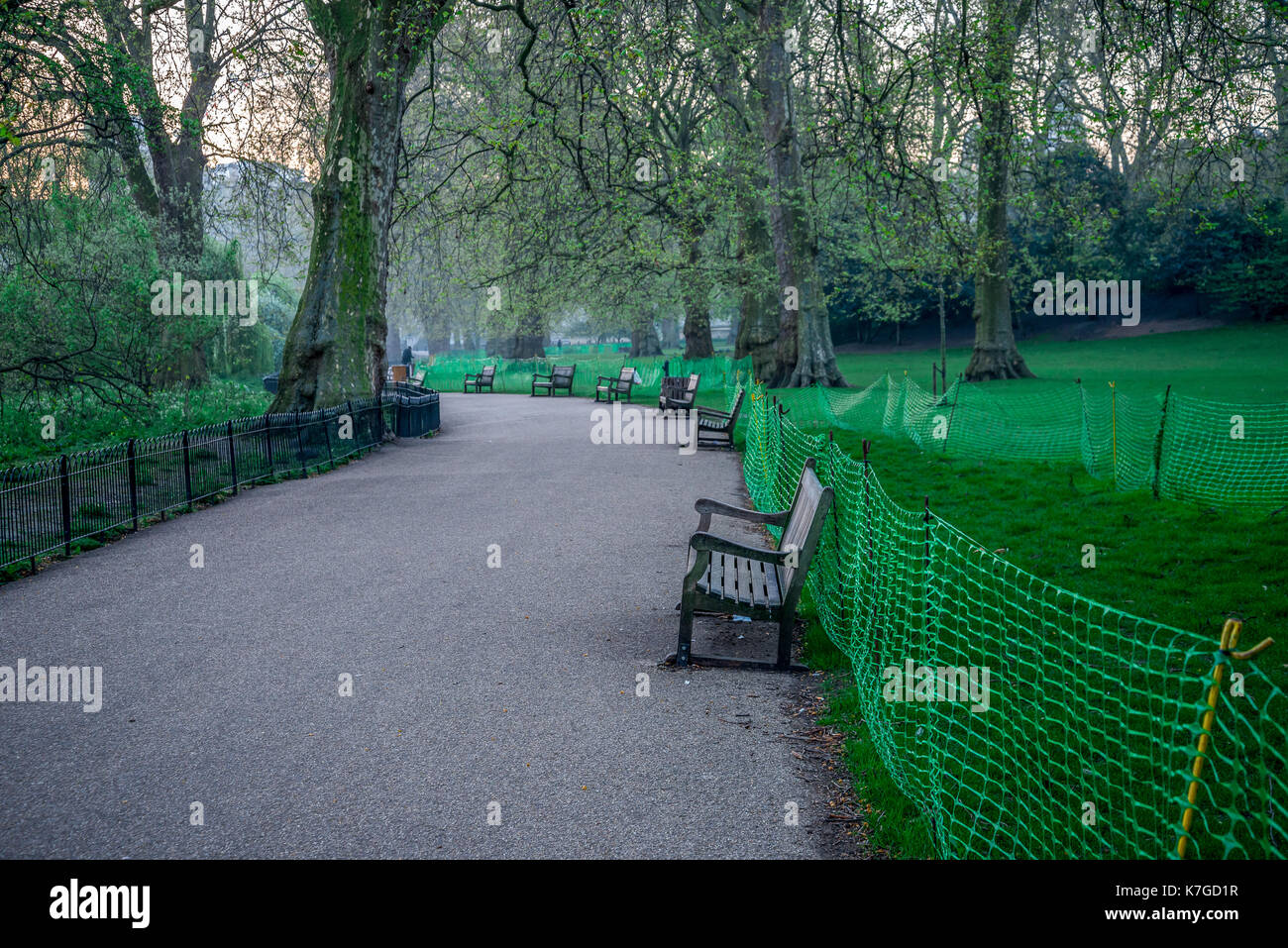 Wanderweg mit vielen Bänken im St. James Park am frühen Morgen, London, England Stockfoto