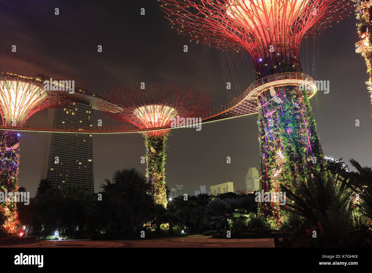 Supertrees und Skywalk in Gärten durch die Bucht, Singapur. Bilder bei Nacht getroffen, wobei die Illuminationen. Stockfoto