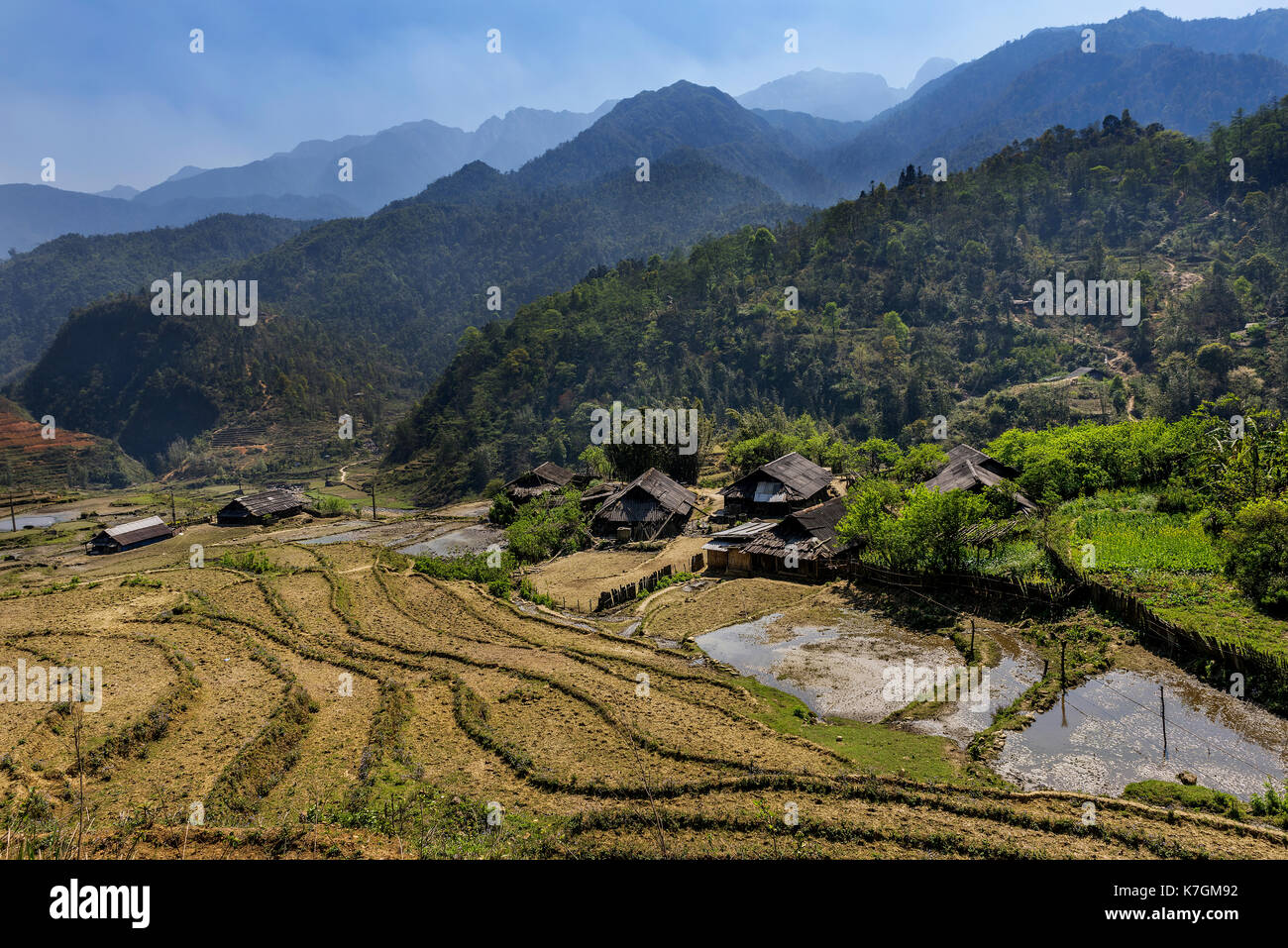 Sapa, Vietnam Reis Stockfoto