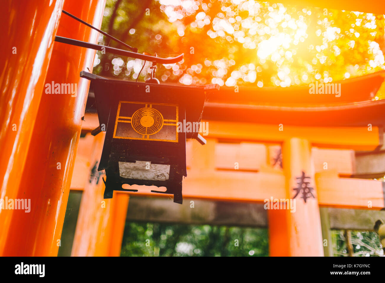 Schöne Sonne Licht am Fushimi Inari Schrein (Fushimi Inari Taisha) red-Japan schrein Tempel im Herbst Herbst Jahreszeit. Stockfoto