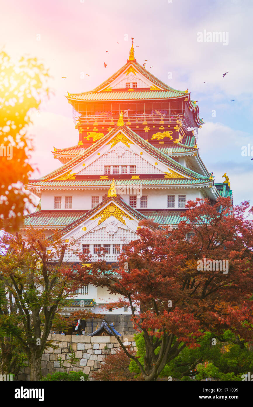 Burg von Osaka im Herbst Rote Ahorn blau Himmel Sonne Licht. Japan reisen Lage. Stockfoto