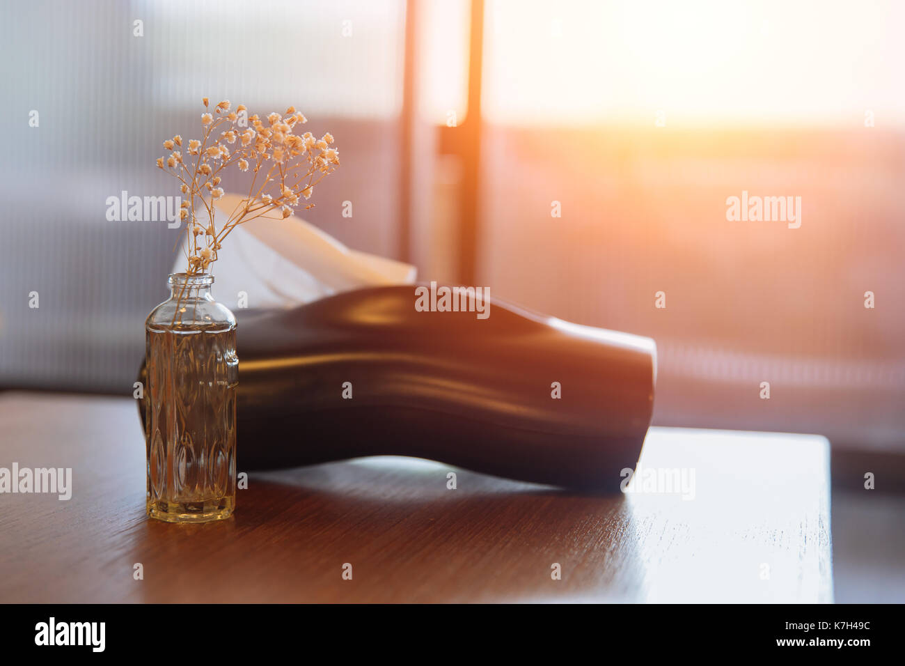 Modernes cafe Natur Kleine Pflanze im Topf oder Dekoration. Stockfoto