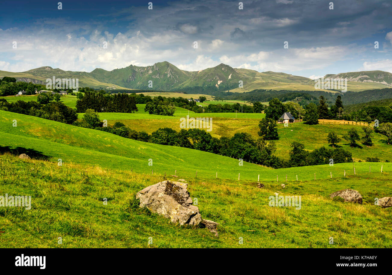 Fontaine Salee finden, Vulkane der Auvergne Natural Regional Park, Massiv von Sancy, Puy de Dome, Auvergne, Frankreich, Europa Stockfoto