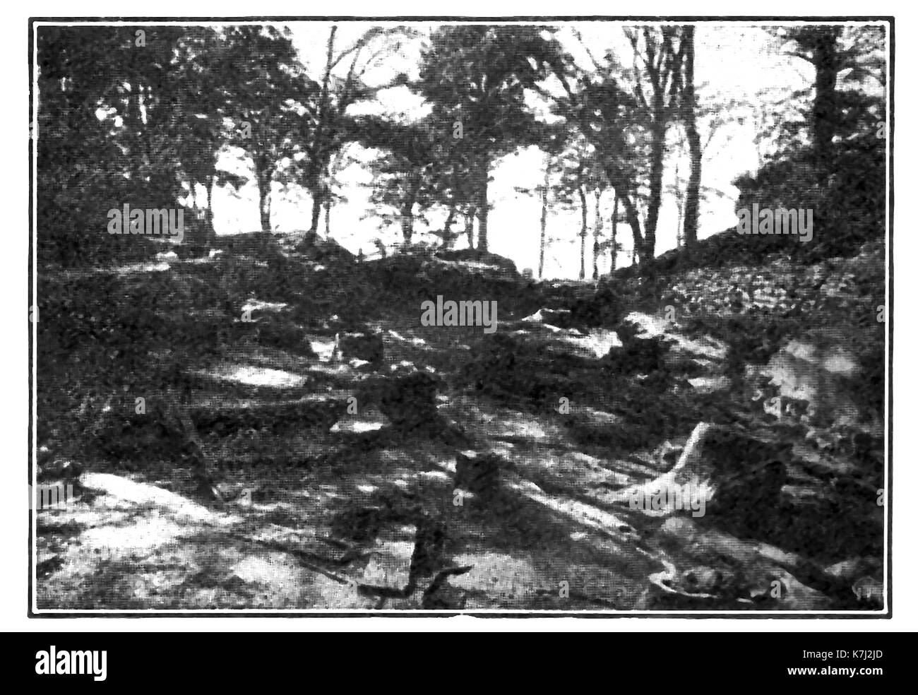 1914 - Ein historisches Foto der versteinerte Wald in Kohle, in der Nähe von Glasgow, Schottland Stockfoto