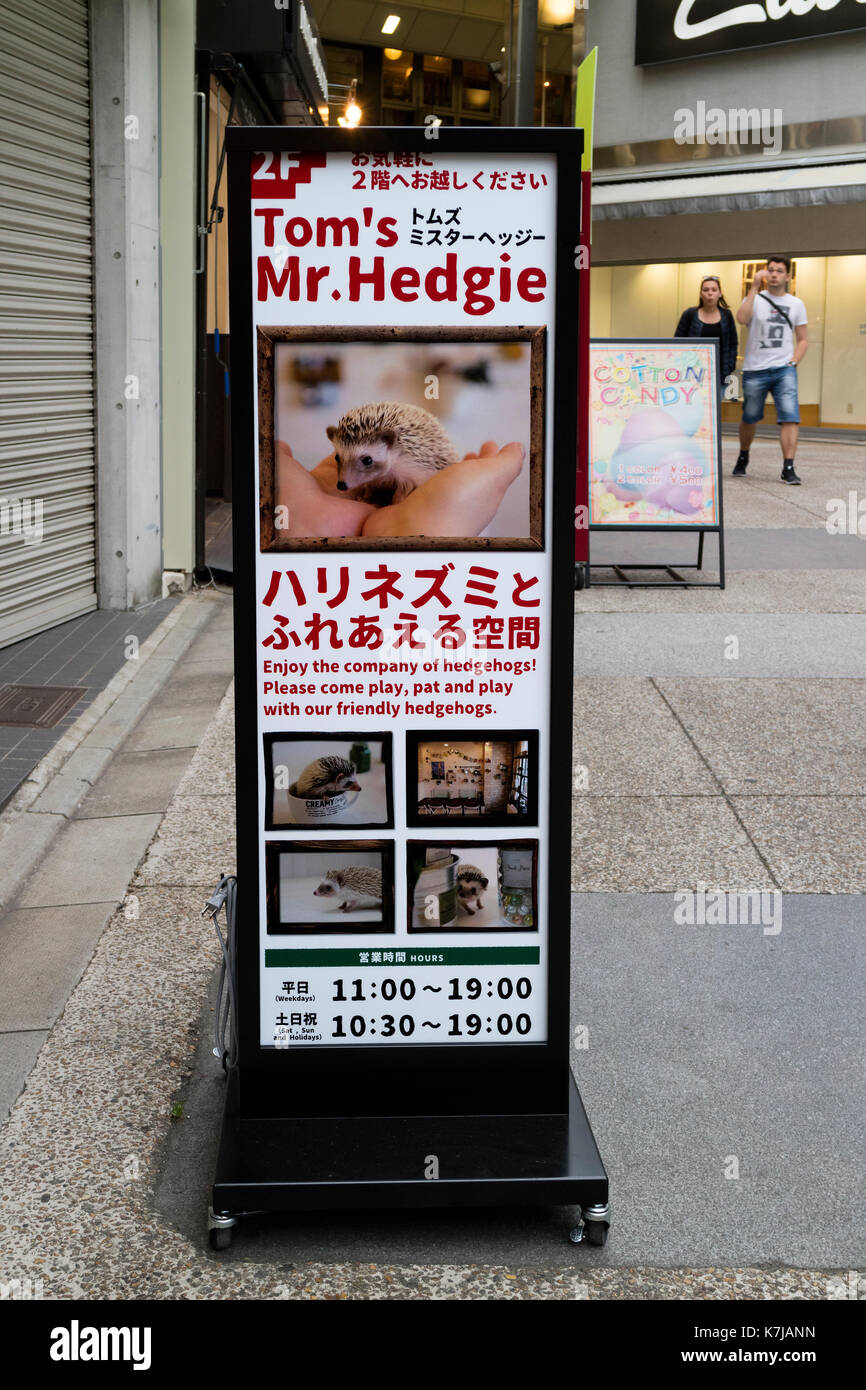 Kyoto, Japan - 16. Mai 2017: Förderung für einen trendigen Igel-themed Cafe Stockfoto