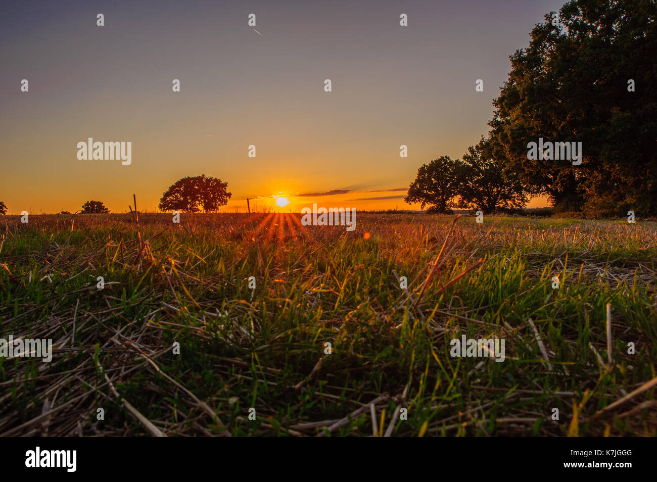 Sonnenuntergang über die Felder, Kleinbettingen, Luxemburg Stockfoto