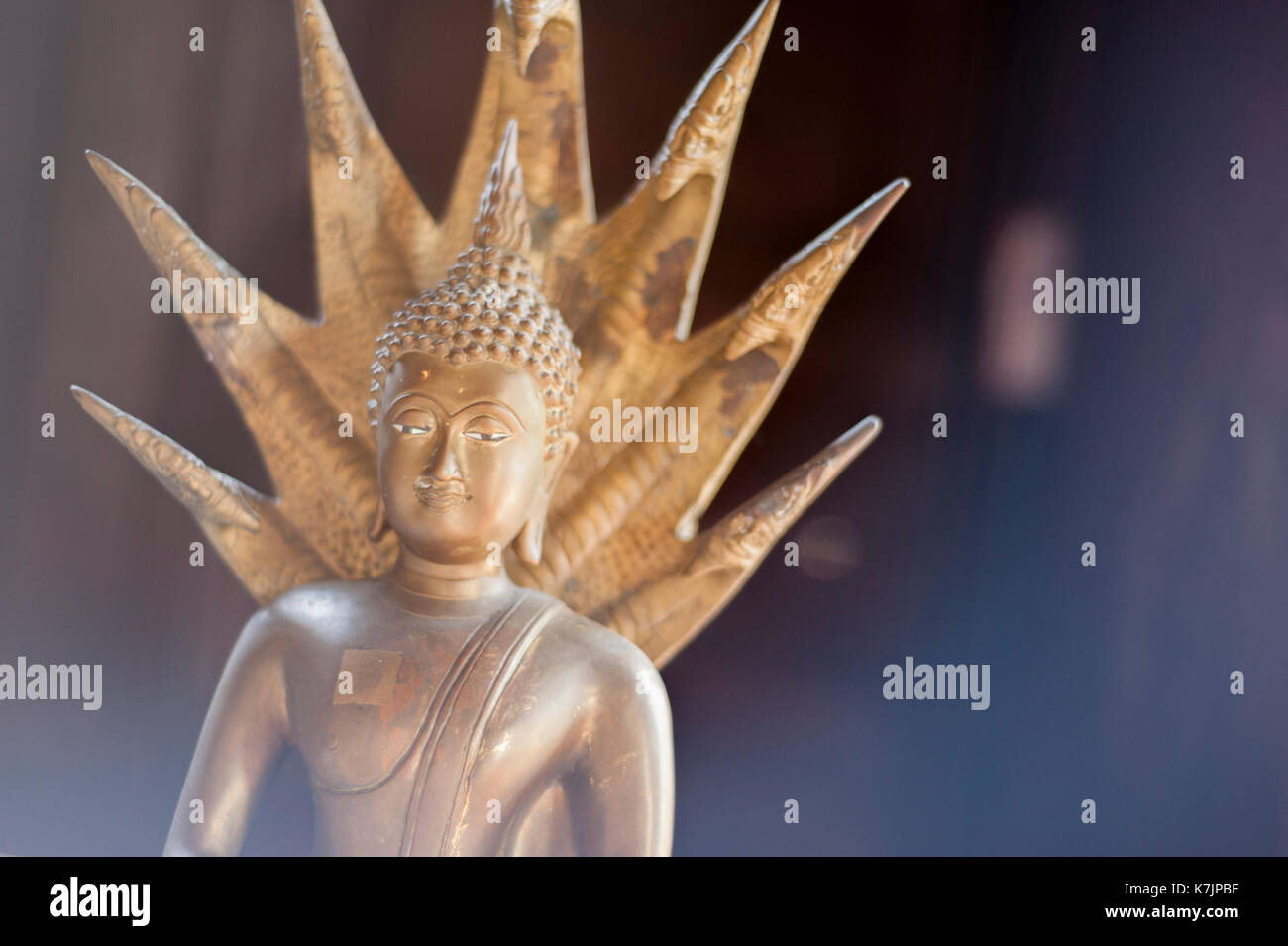 Buddha Statue in Mediation Pose mit Naga Mucalinda im Wat Phan Tao, Chiang Mai, Thailand, Südostasien Stockfoto