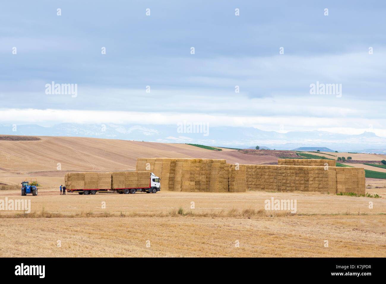 Landwirtschaft Szene von Strohballen für landwirtschaftliche Anhänger versammelt nach Weizen in den Ebenen von La Rioja, Spanien Stockfoto