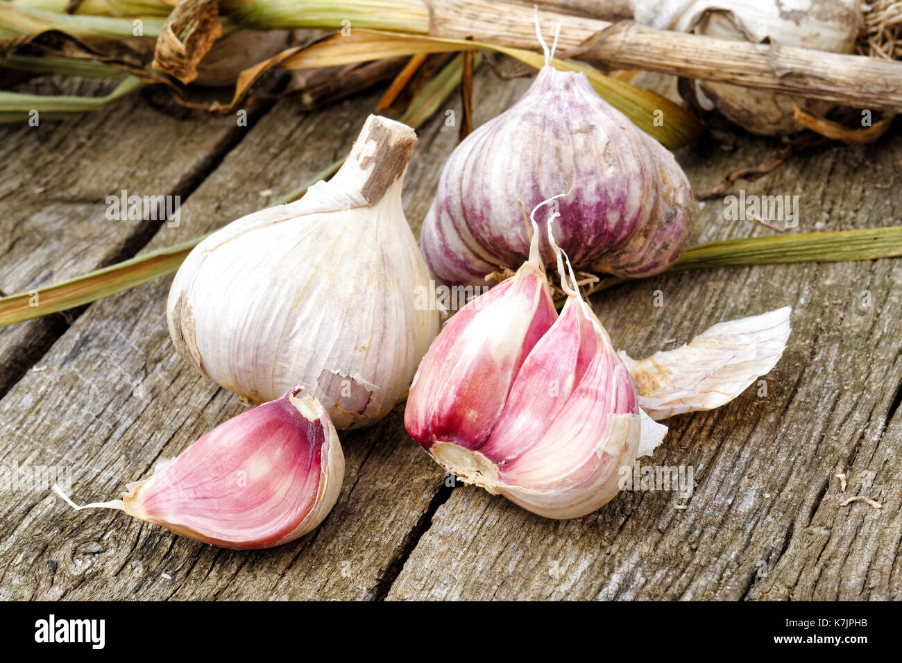 Ganze Knoblauch mit kaputten Glühbirne und rosa Nelken und Laub auf rustikalen Holzbrett. Stockfoto