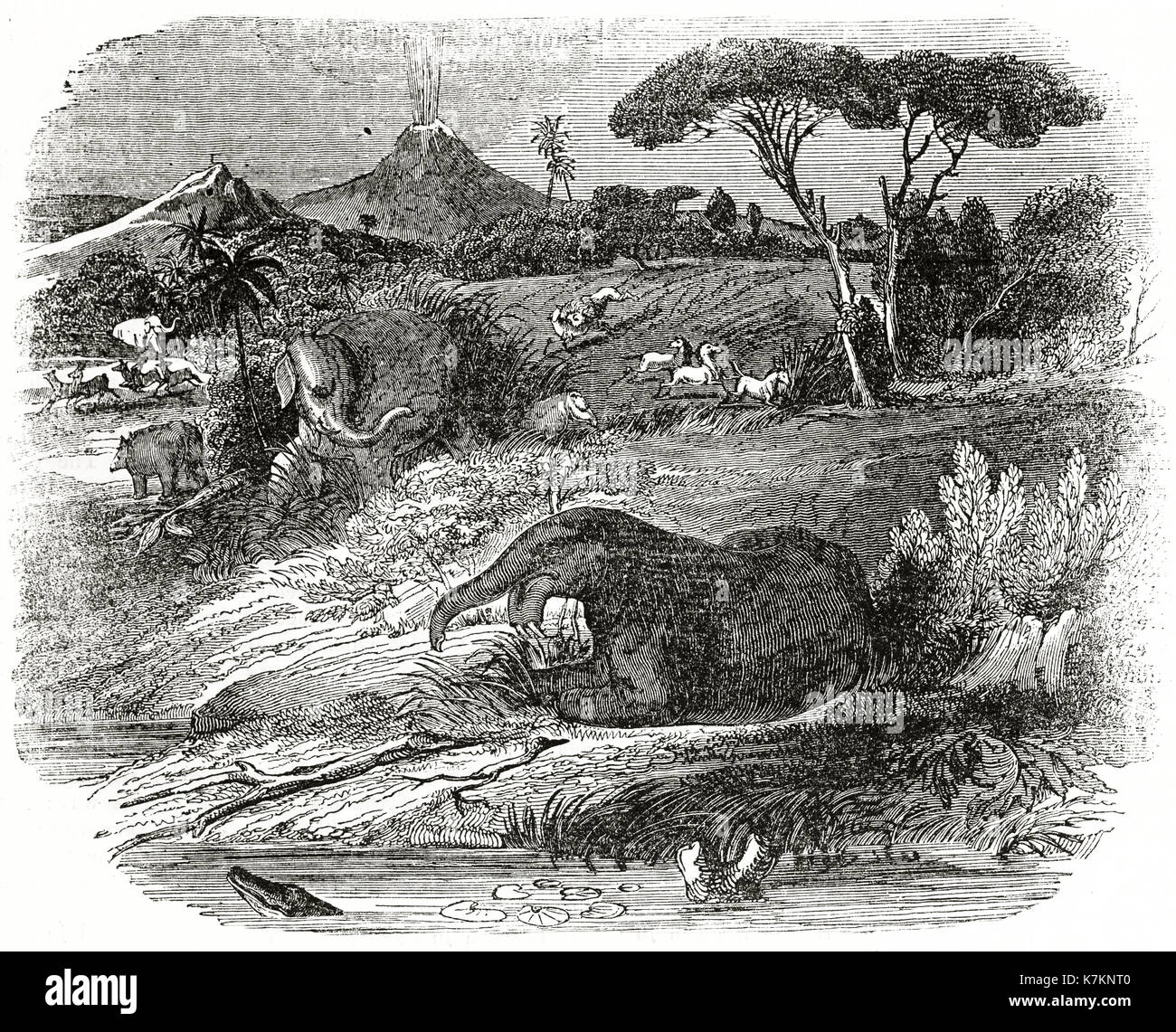 Alte Abbildung zeigt Prof. Kaup der Restaurierung von Dinotherium giganteum. Von unbekannter Autor, Publ. Auf dem Penny Magazine, London, 1837 Stockfoto