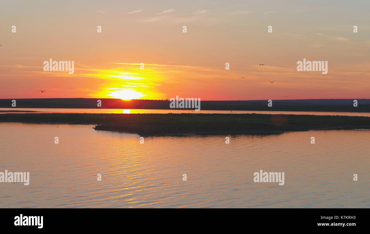 Ein Schwarm Vögel vor dem Hintergrund der farbenfrohen Himmel. Sonnenuntergang auf dem Fluss. Insel von Möwen. Vögel fliegen bei Sonnenuntergang, Antenne Stockfoto