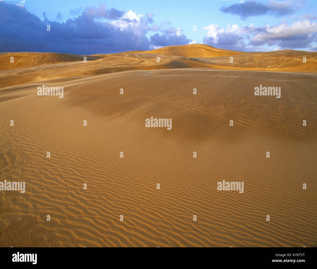 Neuseeland. North Island. Ninety Mile Beach. Stockfoto