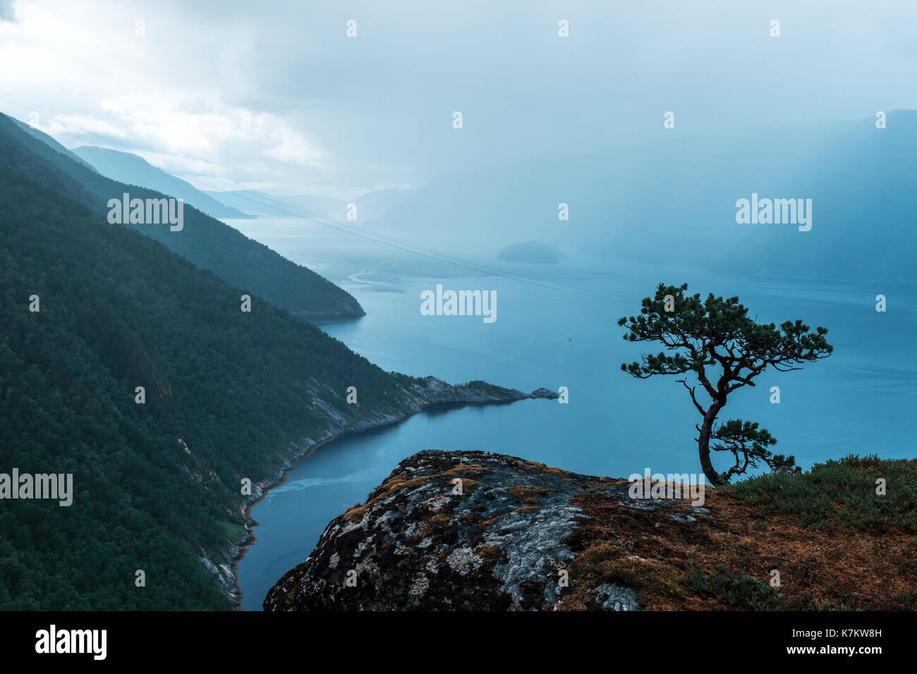 Misty Morning auf Tingvollfjorden flord Vettamyra, Mehr og Romsdal County, Norwegen Stockfoto