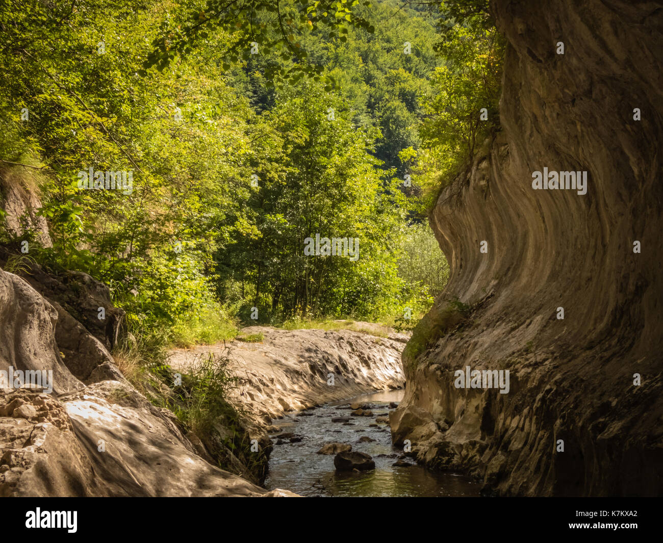 Natürliche Karst Canyon Stockfoto