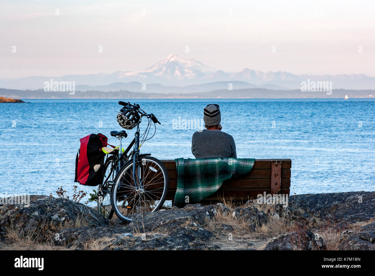 Mann auf Bank bei Rindern, Hochland Park, Oak Bay, Victoria, Vancouver Island, British Columbia, Kanada Stockfoto