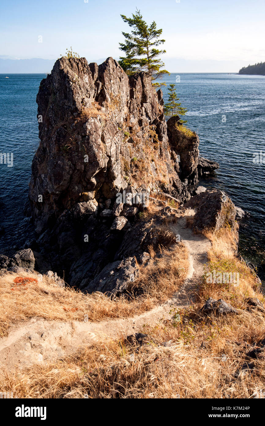 Felsige Küstenlinie auf Creyke Point Trail-East Sooke Regional Park, Sooke, Vancouver Island, British Columbia, Kanada Stockfoto