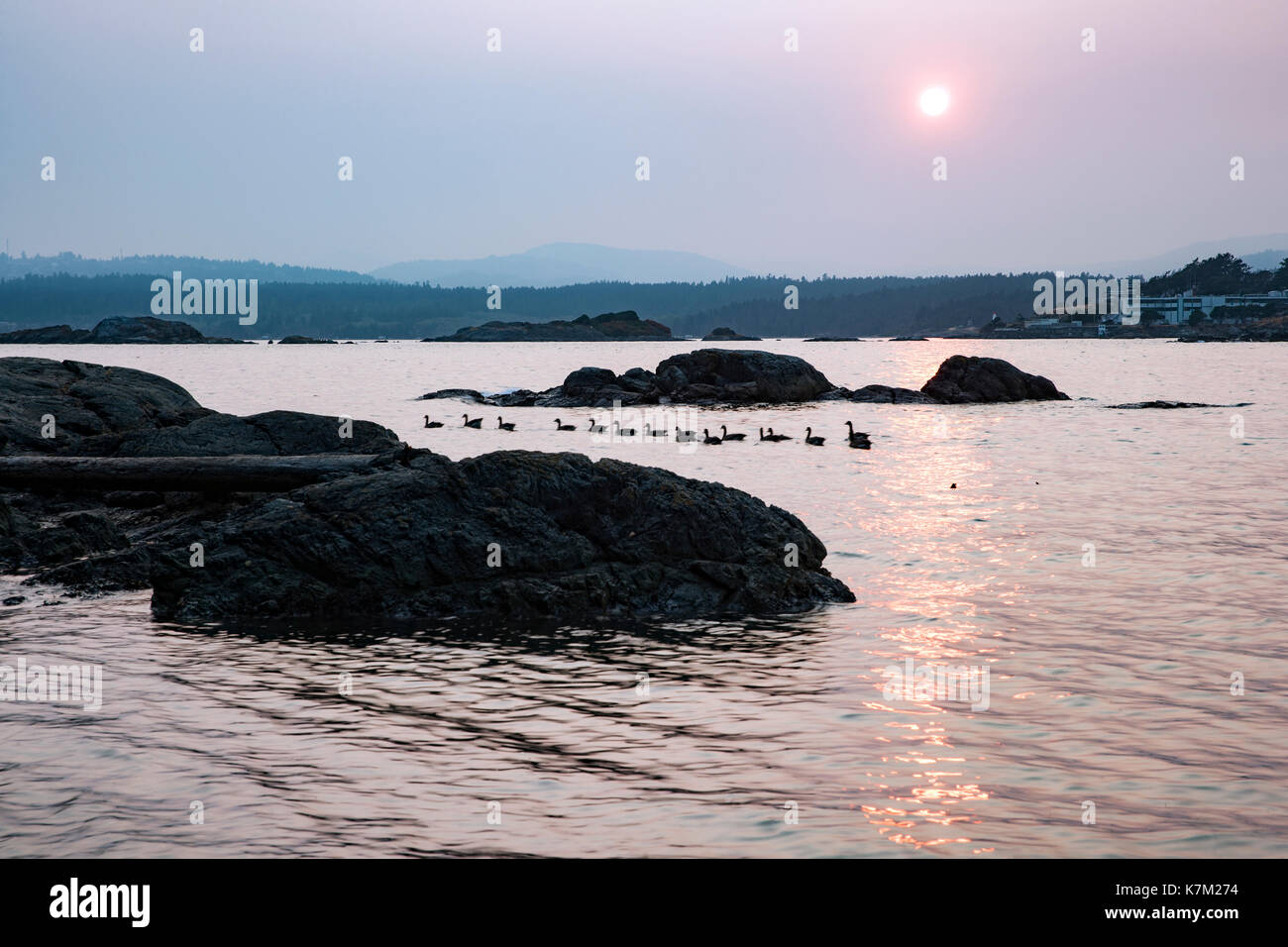 Sonnenuntergang an Saxe Point Park - Esquimalt, Victoria, Vancouver Island, British Columbia, Kanada Stockfoto