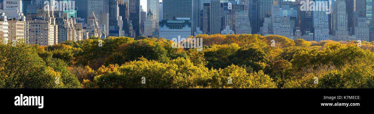 Panoramablick auf den Central Park im Herbst mit Midtown Manhattan Wolkenkratzer in den Hintergrund. Neue yorik Stadt Stockfoto