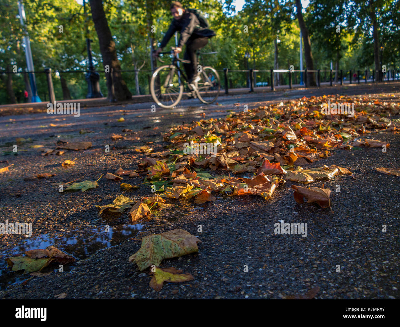 Blätter und Wasser auf der Straße, in der Mall in London, eine Gefahr für Radfahrer Stockfoto