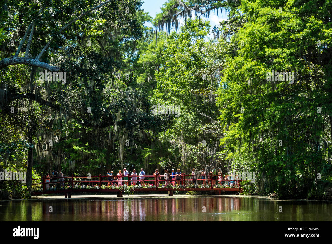 Charleston South Carolina, Magnolia Plantation & Gardens, Antebellum, Cypress Lake, Brücke, SC170514208 Stockfoto