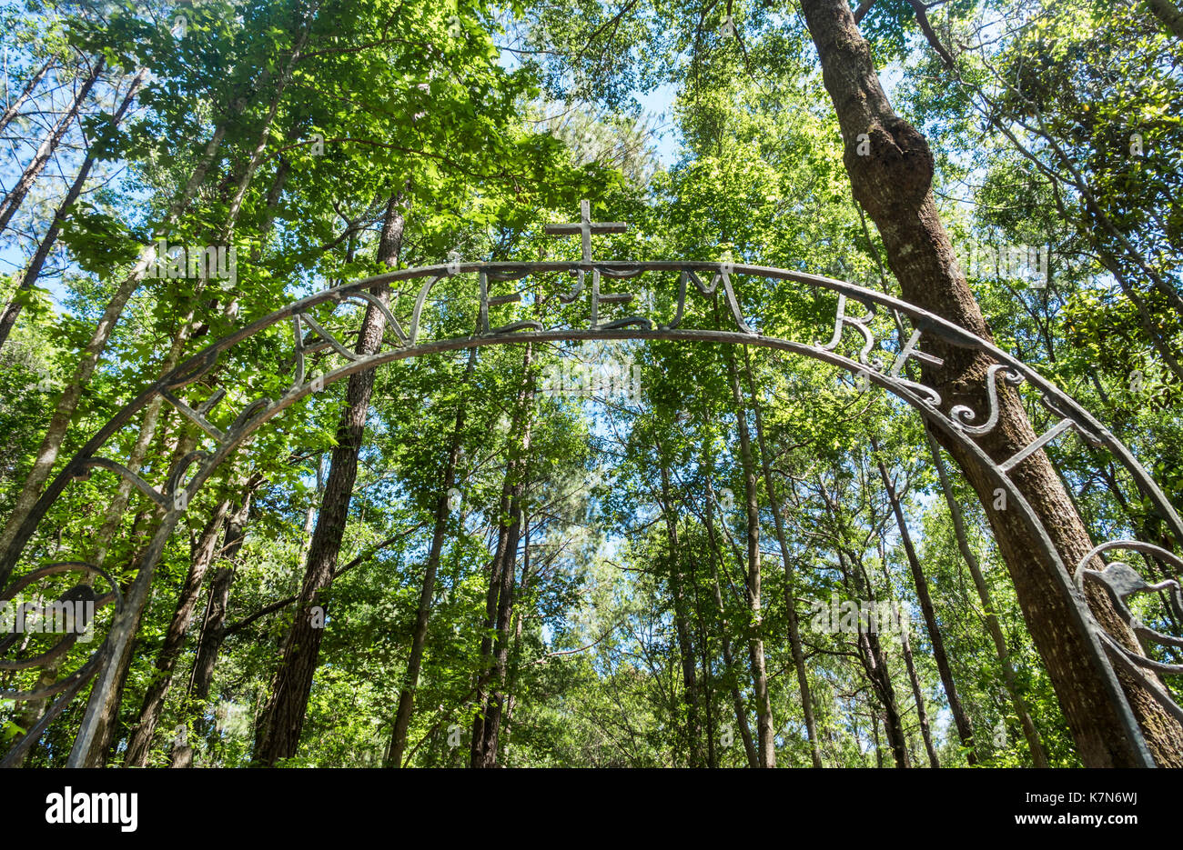 Charleston South Carolina, Drayton Hall, historische Plantage, Erhaltung, Sklavenfriedhof, Bogen, Schmiedeeisen, SC170514238 Stockfoto