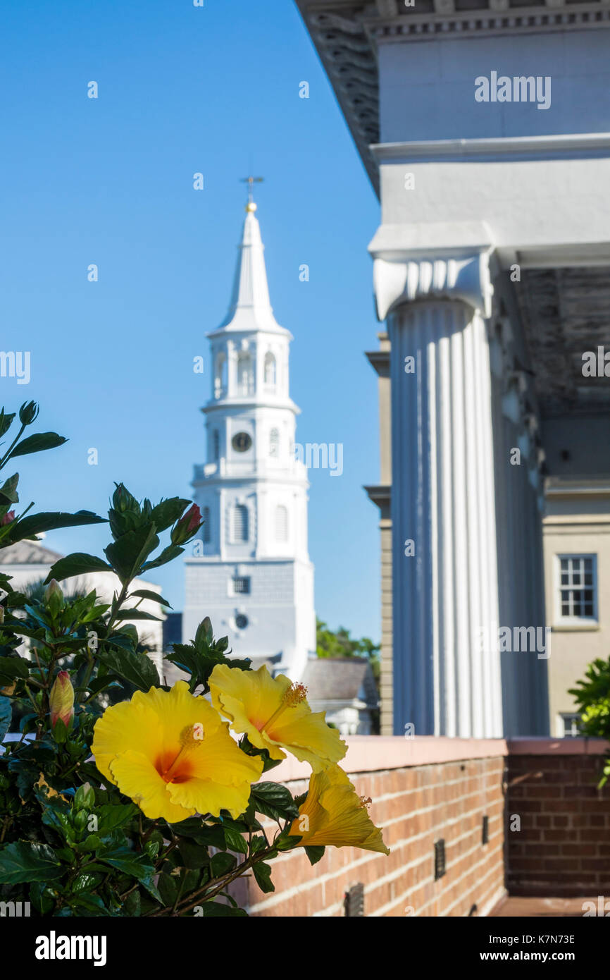 Charleston South Carolina, historische Innenstadt, Meeting Street, St. Michael's Church, Kirchturm, gelbe Hibiskusblume, SC170514255 Stockfoto