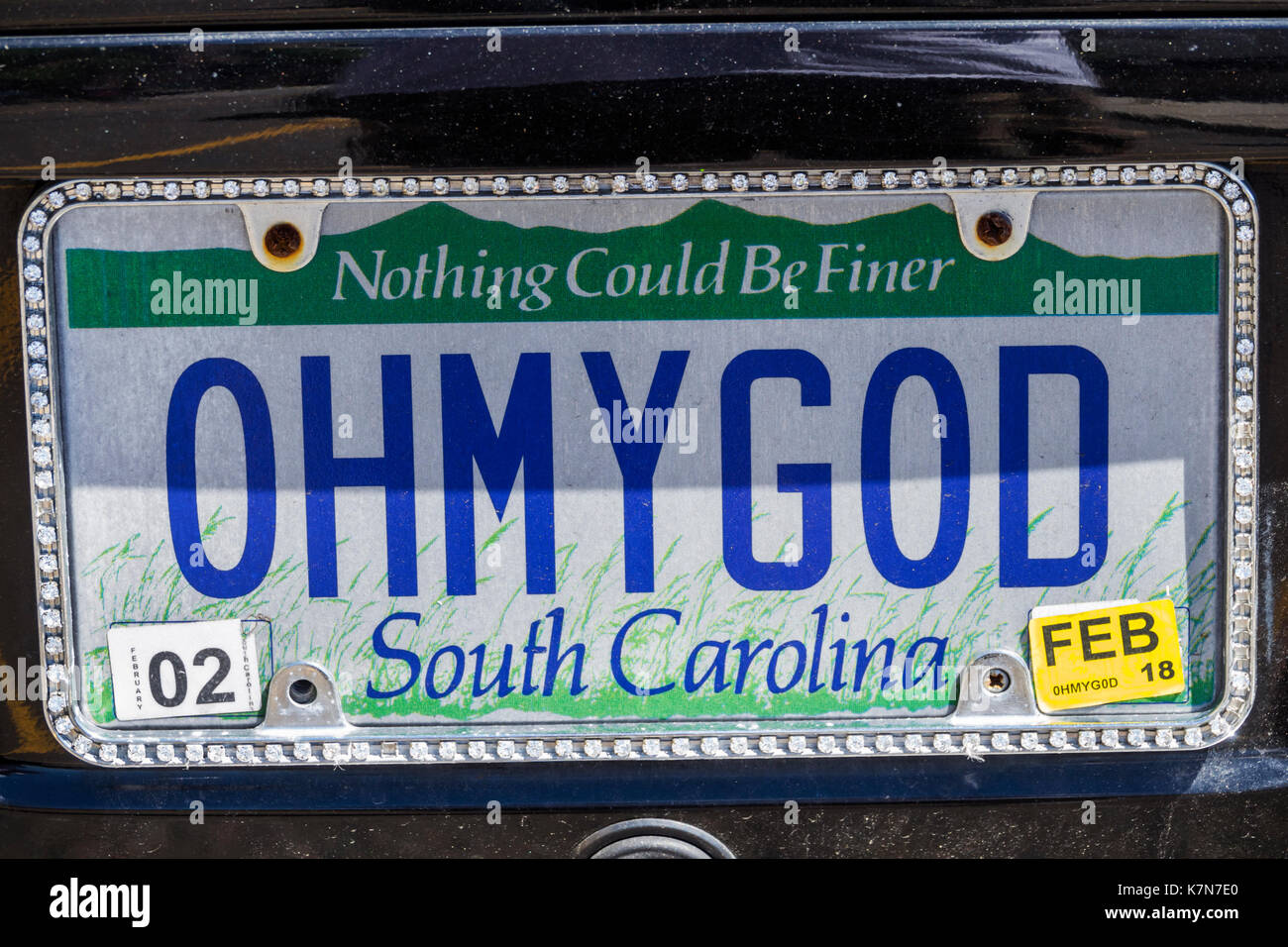 South Carolina, Auto-Tag, Nummernschild, personalisiert, Oh mein Gott, Humor, RF SC170516028RF Stockfoto