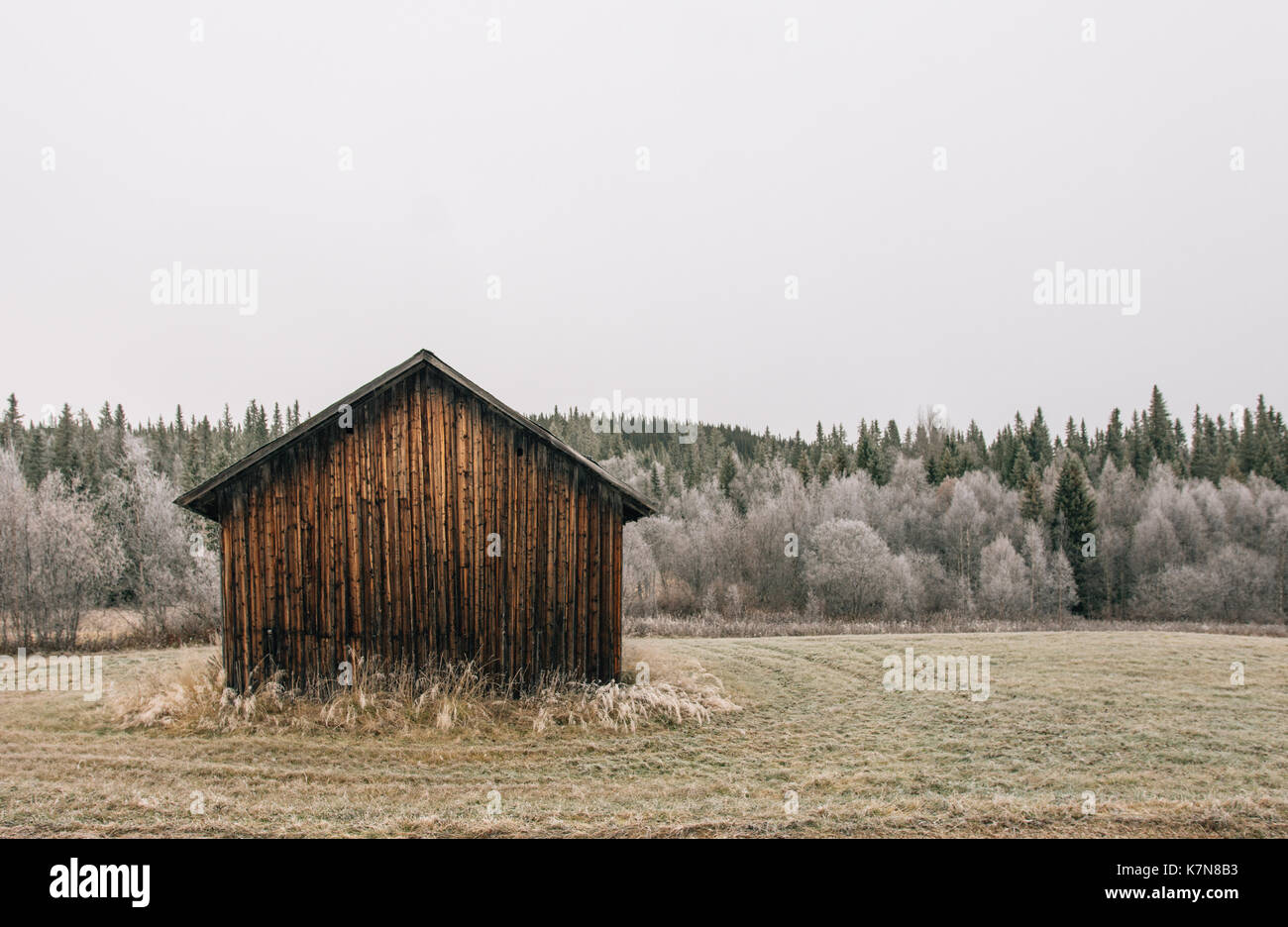 Alte Hütte im Wald Stockfoto