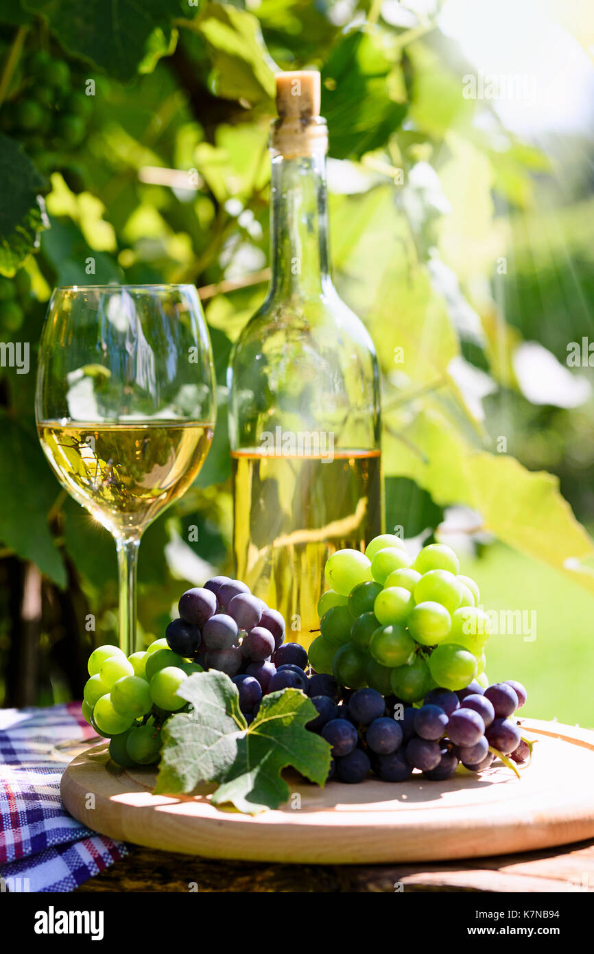 Bündel von frischen Weintrauben neben Weißwein in eine Flasche und Weinglas auf dem Hintergrund einer rustikalen Weinberg und Sonnenlicht Stockfotografie