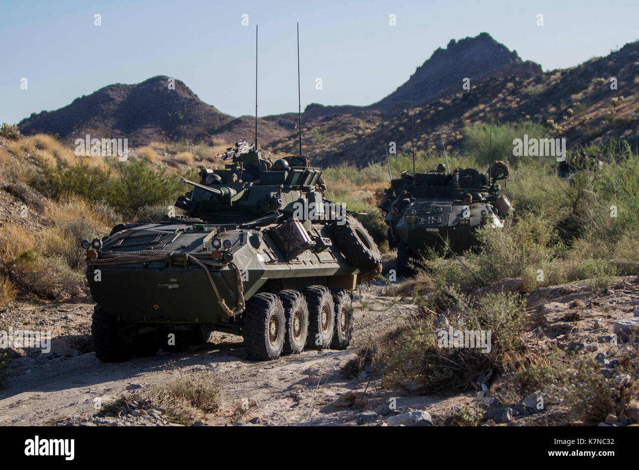 LAV-25 gepanzertes Fahrzeug Stockfoto