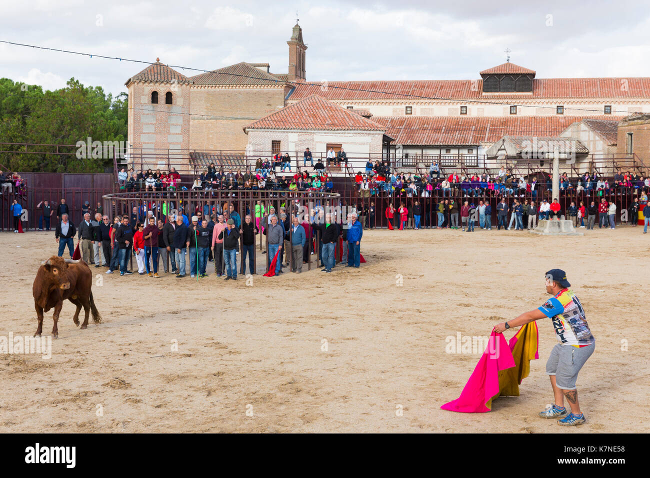 Die Menschen vor Ort anspruchsvolle Stier mit rotem Umhang während des traditionellen Festival im Madrigal de los Altas torres in der Provinz von Ávila, Spanien Stockfoto