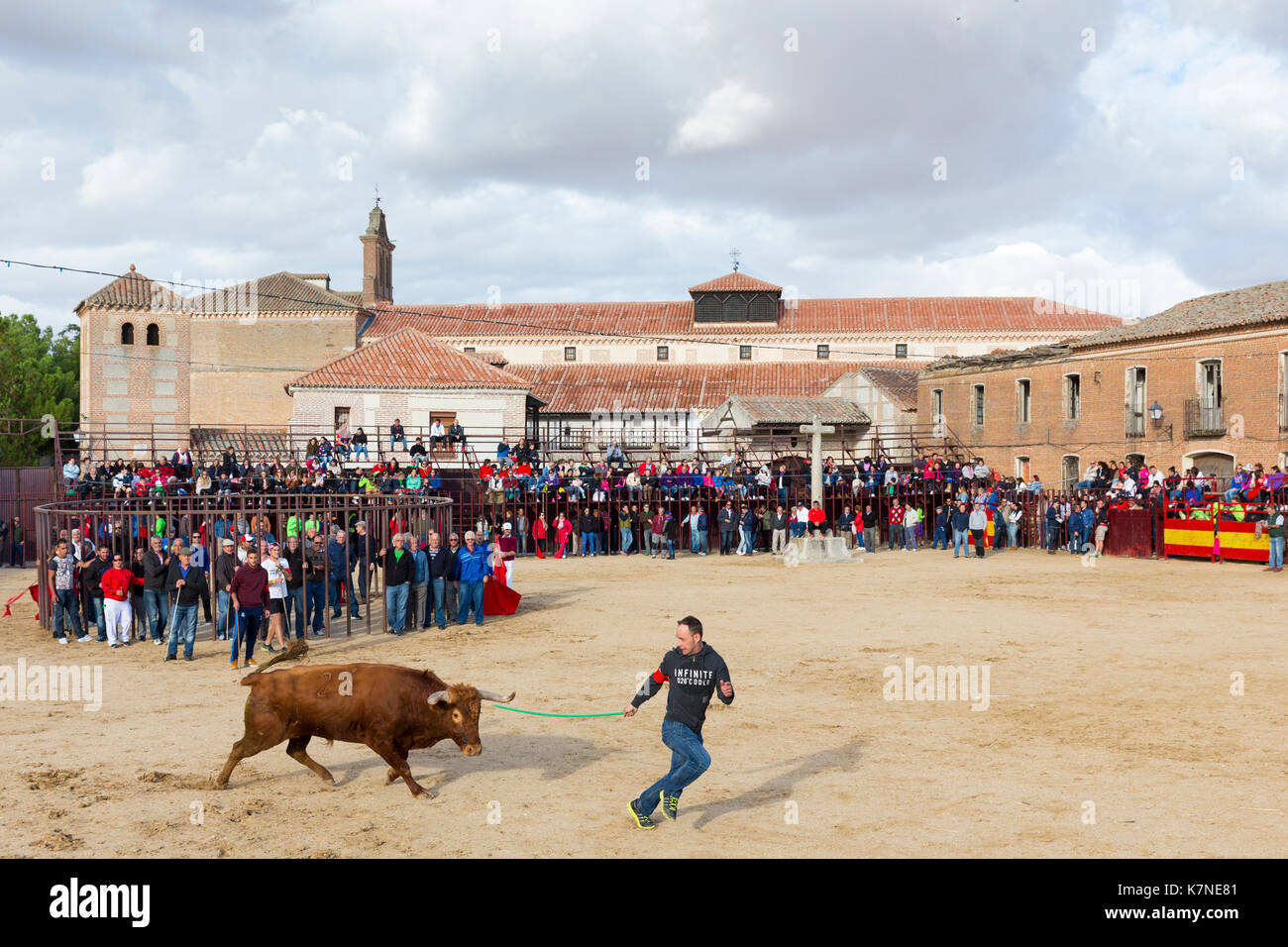 Die Menschen vor Ort anspruchsvolle Stier während des traditionellen Festival im Madrigal de los Altas torres in der Provinz von Ávila, Spanien Stockfoto