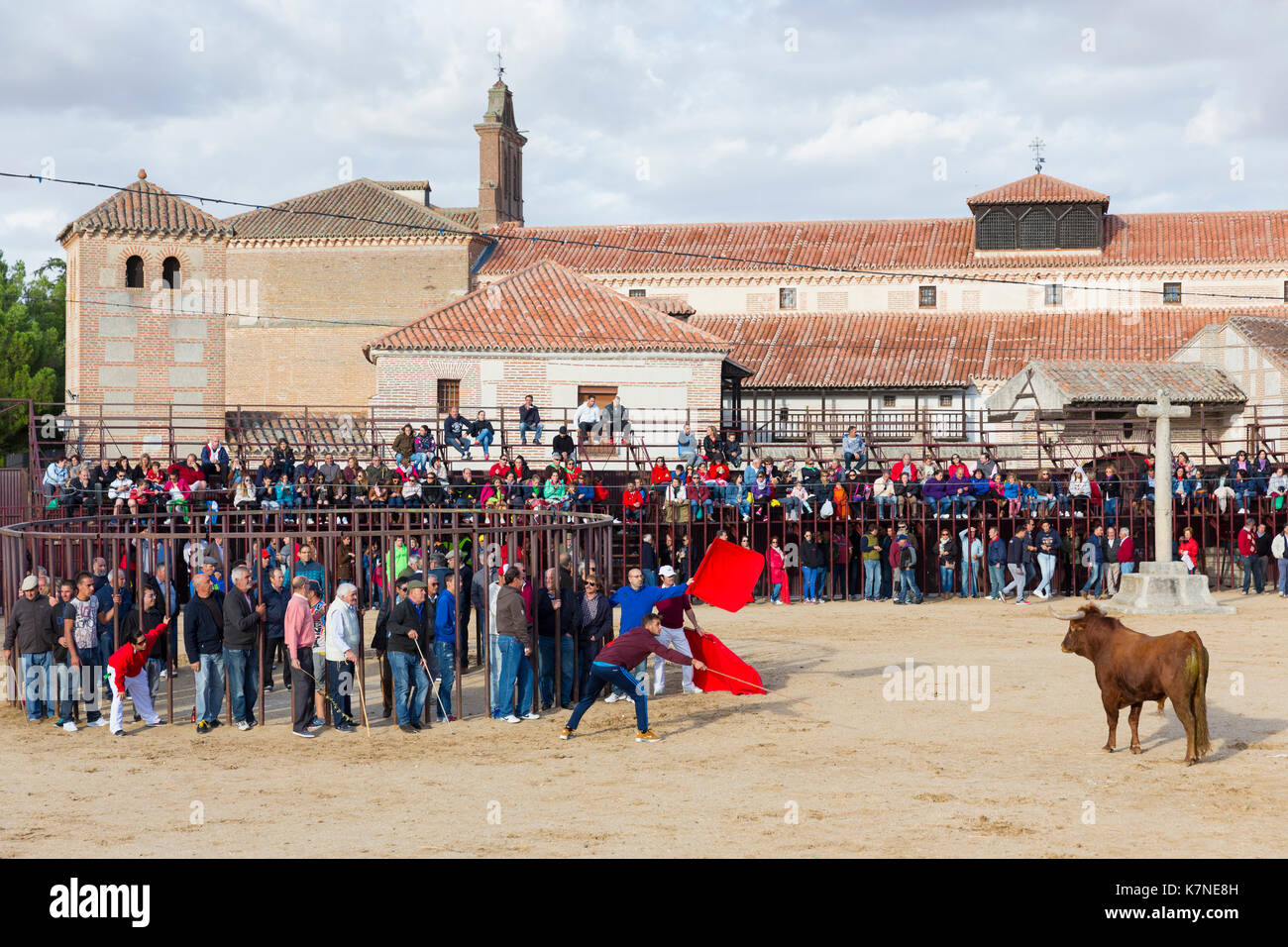 Die Menschen vor Ort anspruchsvolle Stier mit Red Flag während des traditionellen Festival im Madrigal de los Altas torres in der Provinz von Ávila, Spanien Stockfoto
