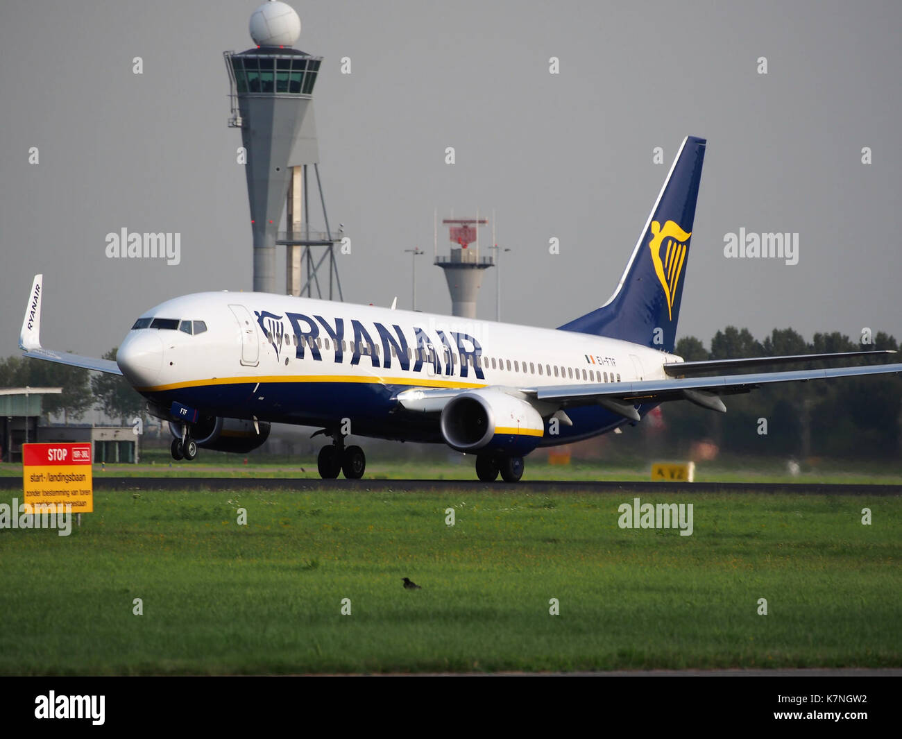 Dieses Bild zeigt eine Ryanair Boeing 737-8AS (WL), die von der Start- und Landebahn des Flughafens Schiphol (EHAM) 36L. startet Das Flugzeug, das durch seine Registrierung EI-FTF gekennzeichnet ist, ist ein beliebtes Kurzstreckenflugzeug, das von Ryanair, einer großen Billigfluggesellschaft in Europa, eingesetzt wird. Stockfoto