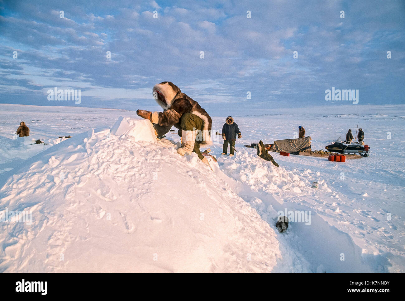 Iglus zeigen Fotos und Bildmaterial in hoher Auflösung Alamy