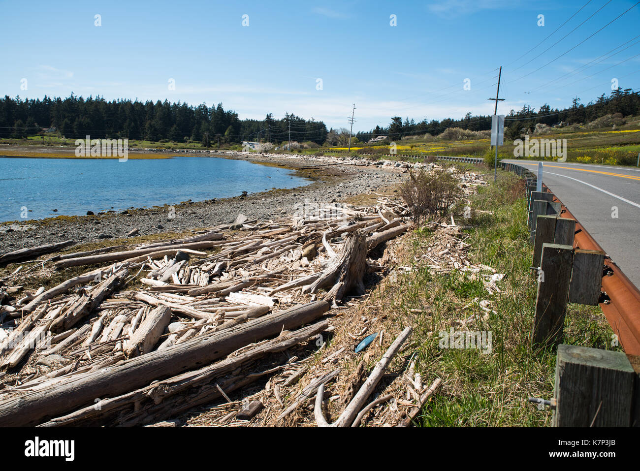 Treibholz auf Penn Cove - Um die Kurve und die Straße runter ist Guanajuato. State Route 20 Kurven um Penn Cove, wo durcheinandergebracht Treibholz wartet. Stockfoto
