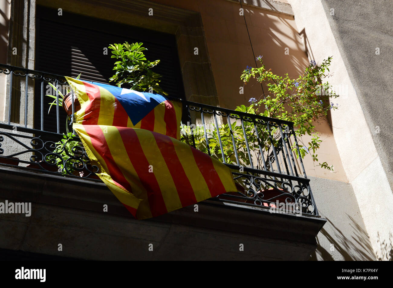 Eine katalanische Flagge auf einem Balkon in Barcelona, Spanien fliegen Stockfoto